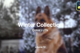 Winter LUTs Collection Vol. 12 49984117