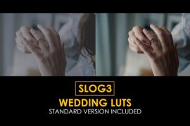 Slog3 Wedding and Standard Color LUTs 48790022