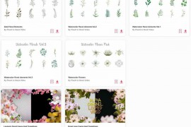 7.(Floral).Video