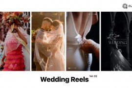 Wedding Reels Vol. 03 49249732
