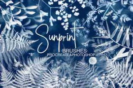 Sunprint – Procreate & Photoshop Brushes