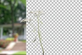 Animated Flowering tree with white flowers 51109913