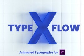 X-Type Flow | Premiere Pro 26320285