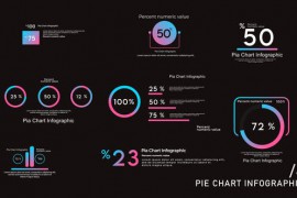 Pie Chart Infographics 4 45856297