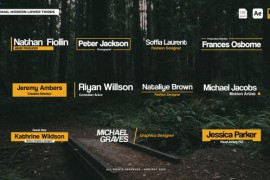 Minimalist Modern Lower Thirds - 4K 43965518