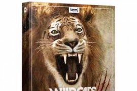 BOOM Library Wildcats Tigers Lions WAV DVDR-DISCOVER