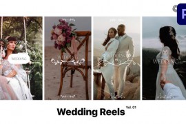 Wedding Reels for Premiere Pro Vol. 01 49365174