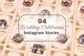 Wedding Celebration Instagram Stories 58054794