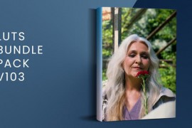 LUTs Bundle Pack V103 | FCPX 50196045
