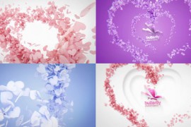 Heart Logo Reveal Bundle 50940158
