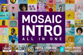 Mosaic Intro 33065272