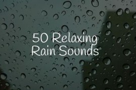Pro Sound Effects Library 50 Soothing Winter Rain Sounds FLAC