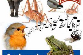 Hermes PH1 Sound Effects Animal Sounds (Long Versions) FLAC