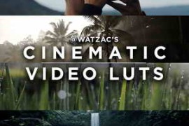 WATZAC – Zac Watson – Cinematic Video LUTS