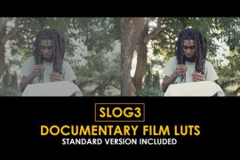 Slog3 Documentary Film and Standard Color LUTs 51104035
