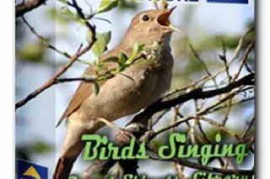 Orphey Sounds Of Nature - Birds Singing Sound Effects Library WAV