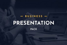 Business Presentation Pack 46587600