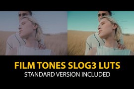 Slog3 Film Tones and Standard Color LUTs 48800494