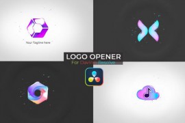 Logo Opener 50780399