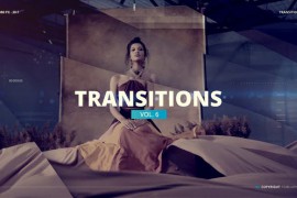 The Transitions 51946360