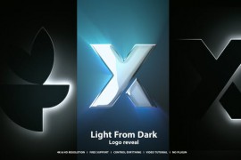 Light Logo Reveal 49620235