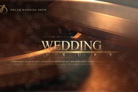 Wedding 50564325