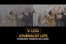 V-Log Journalist and Standard LUTs 51434582