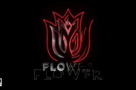 Logo Reveal 52765518