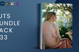 LUTs Bundle Pack V33 45708323