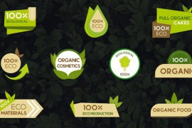 Ecological Titles || After Effects 33960951
