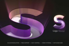 Logo Reveal 48889445