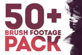Brush Pack 17398108