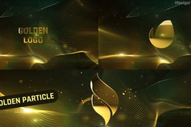 Simple Golden Particle Logo Animation 46591859