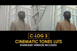 C-Log3 Cinematic Tones and Standard Color LUTs 51227553