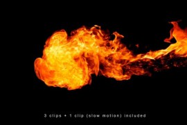Fire Pack 39168383