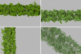 Leaf Transition Pack 4k 46285813