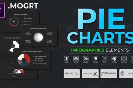 Infographic - Pie Charts MOGRT 51480898