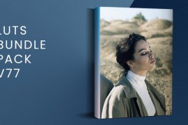 LUTs Bundle Pack V77 49481578
