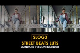 Slog3 Street Beats and Standard LUTs 50848297