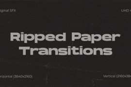 Ripped Paper Transitions 51800103