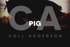 C.A. Sound Inc Pig WAV-FANTASTiC