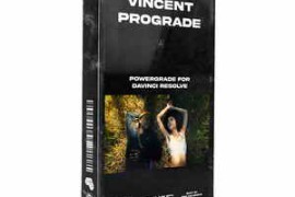 Vincent Color Film – Cinematic PowerGrade – Kodak 5207 and 5219 Emulation V2