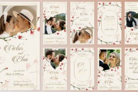 Wedding Invitation Instagram Stories 44874801