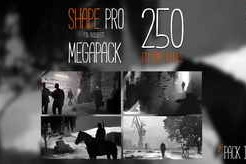 Gumroad – SHAPE PRO MEGAPACK for PROCREATE 5 and PHOTOSHOP