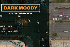 LUTs Dark Moody 42319771