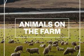 Blastwave FX Animals on the Farm WAV-FANTASTiC
