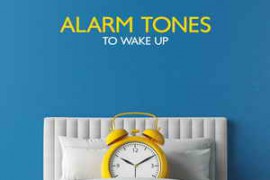 Sound Effects Zone Alarm Tones to Wake Up FLAC