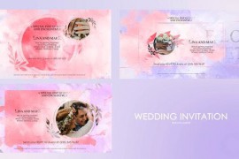 Wedding Invitation 48866499