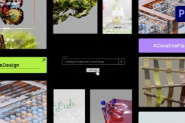 Search Bar Logo Reveal for Premiere Pro 48911018