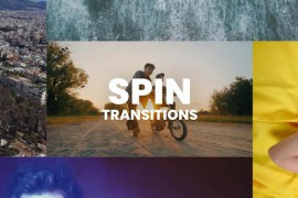 Spin Transitions 49204963